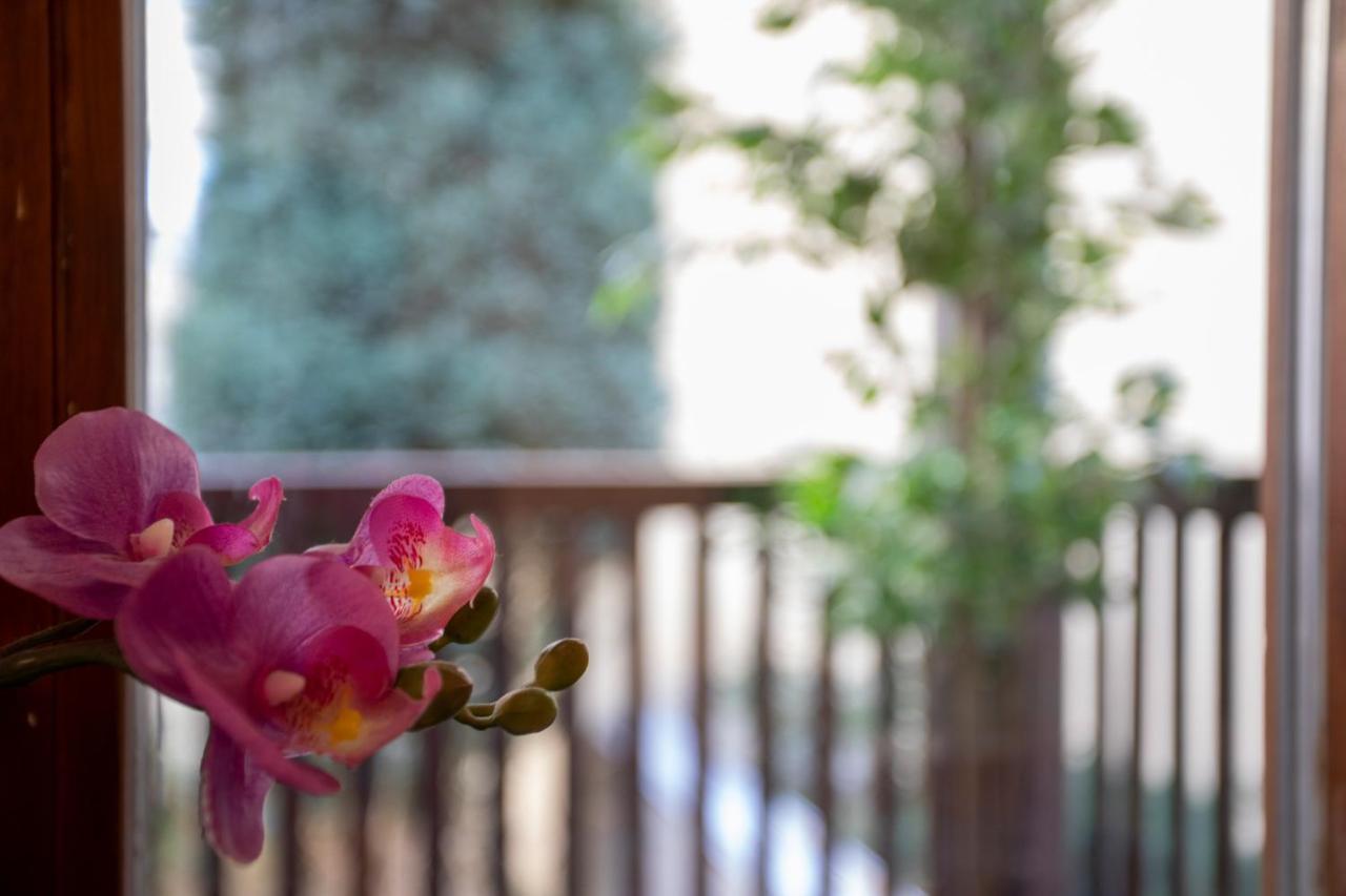 Nice Old Town Apartment ฮัลล์อินทีโรล ภายนอก รูปภาพ